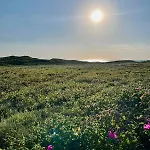 Schoenes Sylt-apartement 